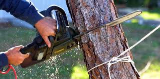 Best Soil Testing and Treatment  in Milan, NM