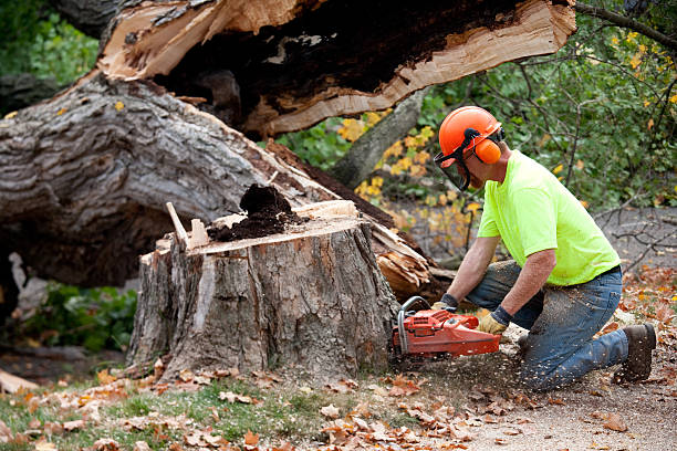 Best Aeration Services  in Milan, NM